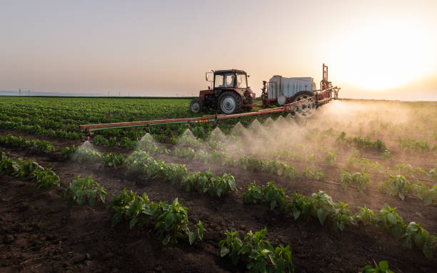 Best Cockroach Control Services  in Gun Barrel City, TX