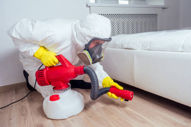 Best Insect Control  in Gun Barrel City, TX
