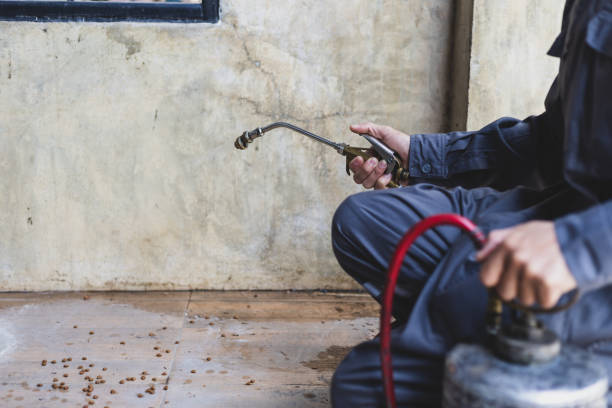 Pest Control Cost in Gun Barrel City, TX